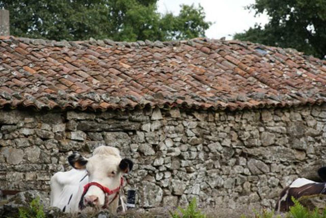 Stone Cottage Fisterra Curtis Zewnętrze zdjęcie